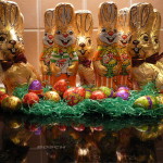 Chocolate_easter_bunny